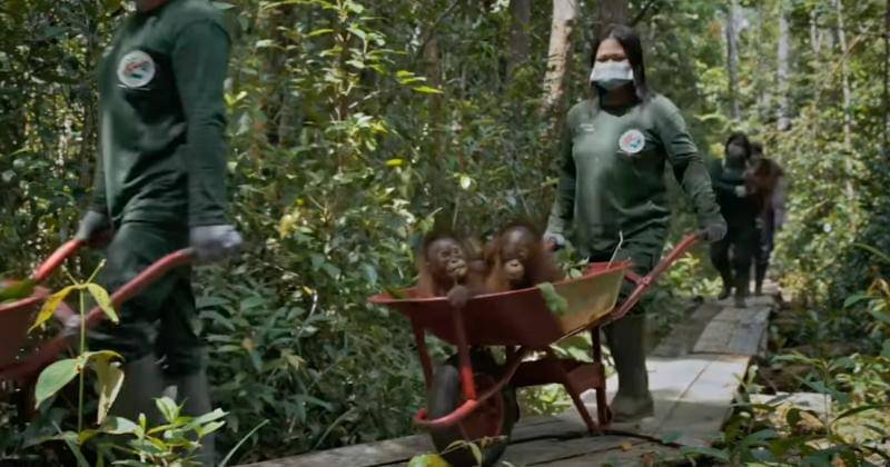 Instagram.com/filmpetualangansherina